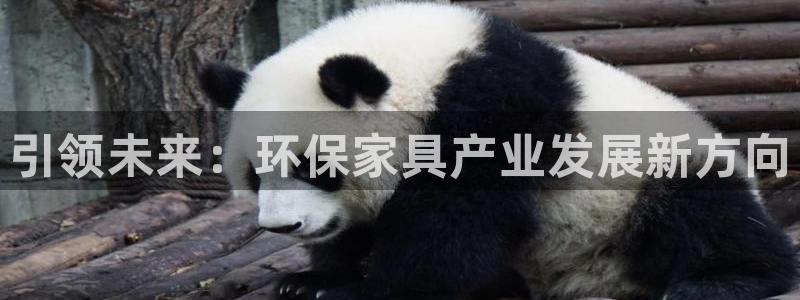 沐鸣2注册登陆：引领未来：环保家具产业发展新方向