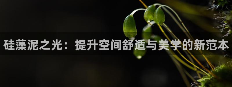 沐鸣2官网注册：硅藻泥之光：提升空间舒适与美学的新范本