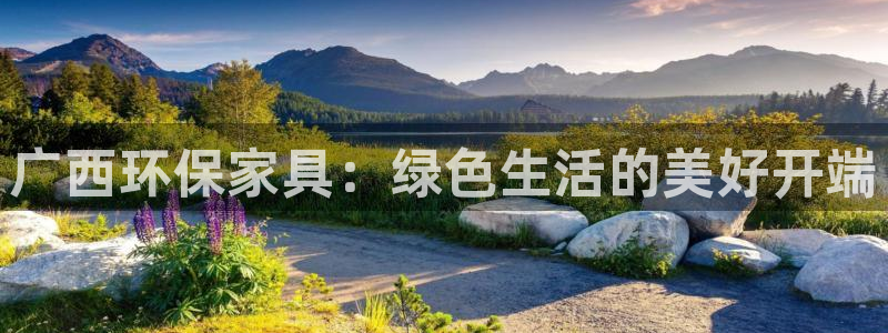 沐鸣2测速娱乐：广西环保家具：绿色生活的美好开端