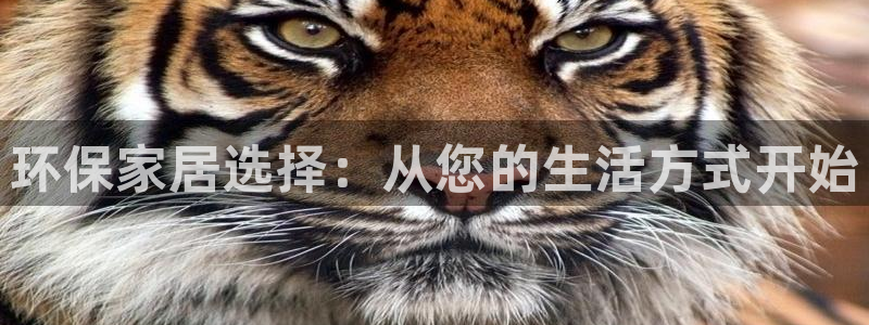 沐鸣2是什么平台