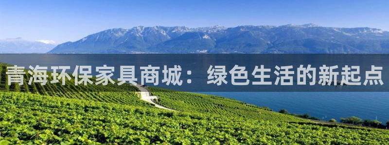 沐鸣2官网注册：青海环保家具商城：绿色生活的新起点
