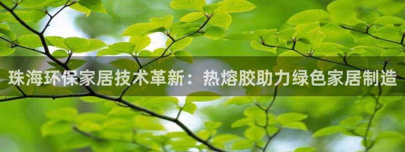 沐鸣2平台待遇：珠海环保家居技术革新：热熔胶助力绿色家居制造