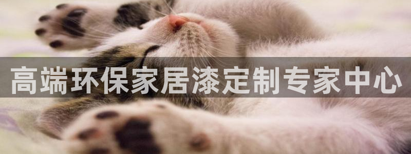 沐鸣2平台官网网址：高端环保家居漆定制专家中心