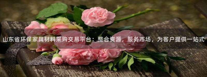 沐鸣2平台的专用通道：山东省环保家具材料采购交易平台：整合资