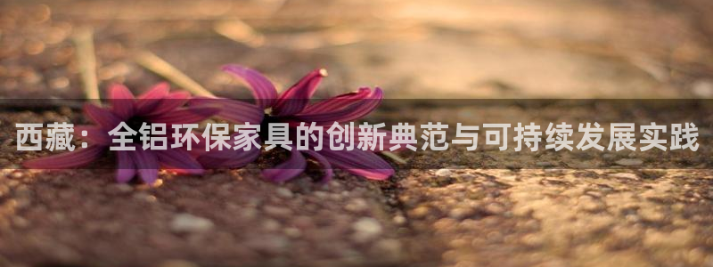 沐鸣2平台黑款：西藏：全铝环保家具的创新典范与可持续发展实践
