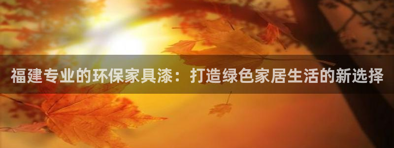沐鸣2平台主管：福建专业的环保家具漆：打造绿色家居生活的新选