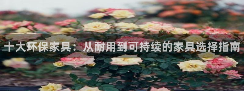 沐鸣2平台黑款：十大环保家具：从耐用到可持续的家具选择指南