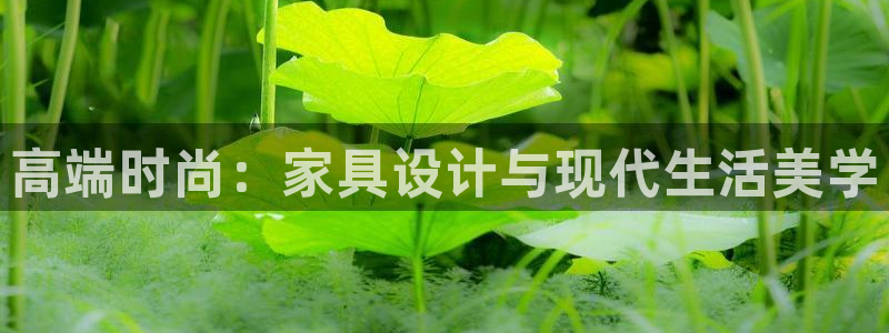 沐鸣2总代理